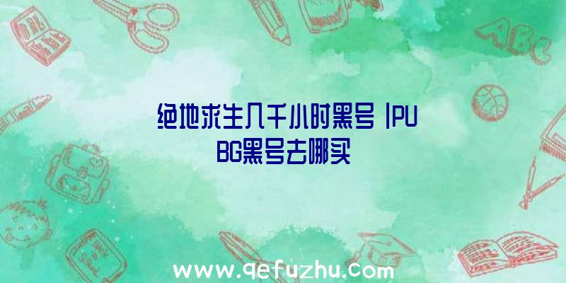 「绝地求生几千小时黑号」|PUBG黑号去哪买